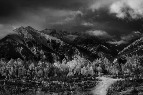 Twin Lakes Gold 2021 B&W.jpg